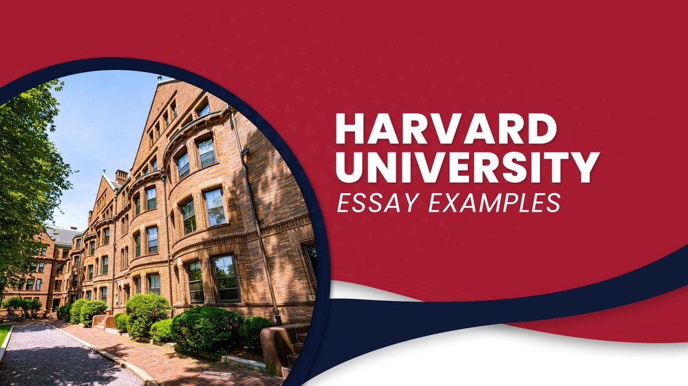 college essays to get into harvard