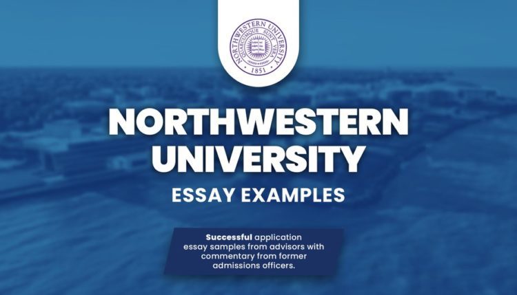 brandeis supplemental essay examples