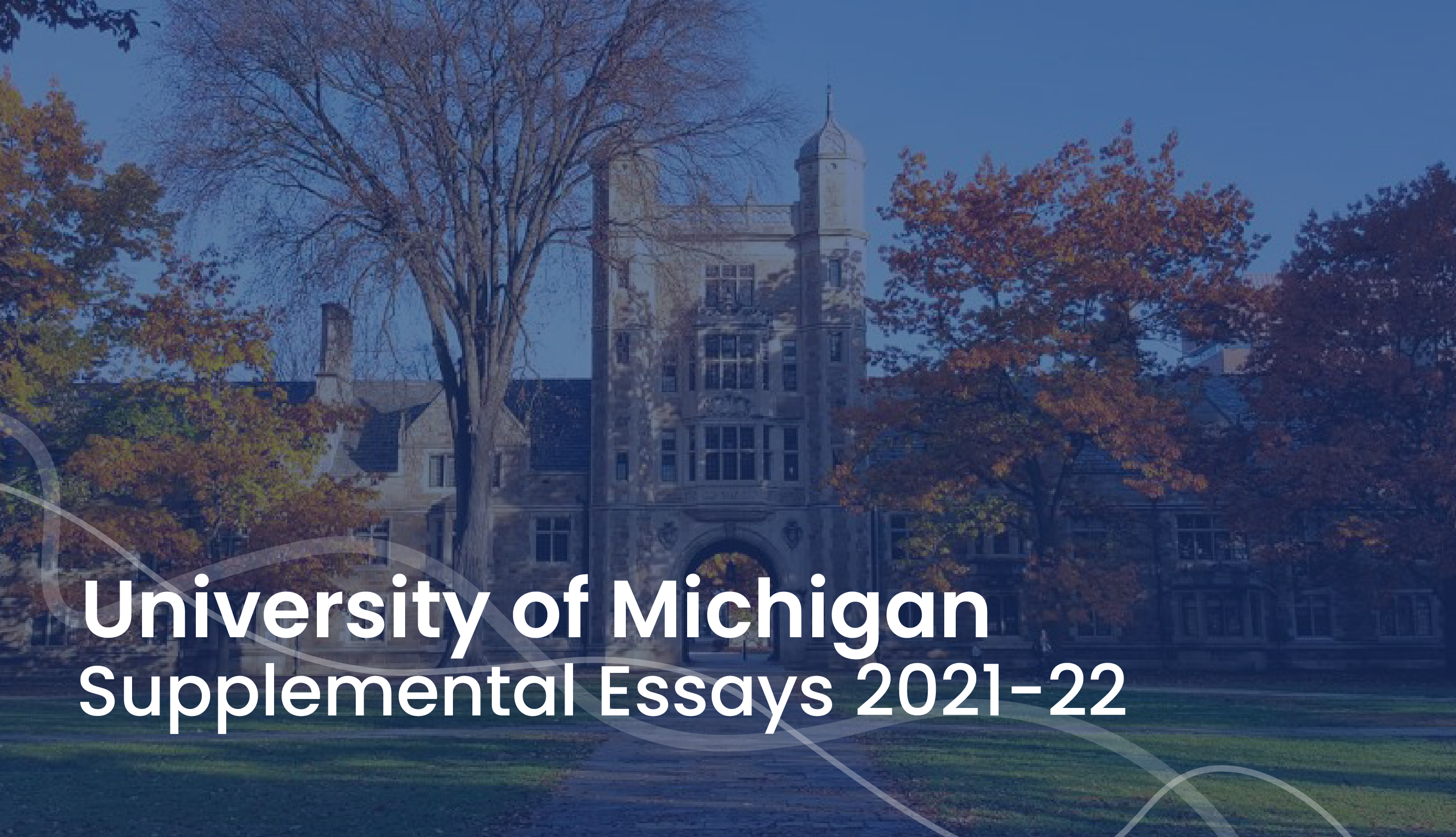 University of Michigan Supplemental Essays 20212022 UM Essay