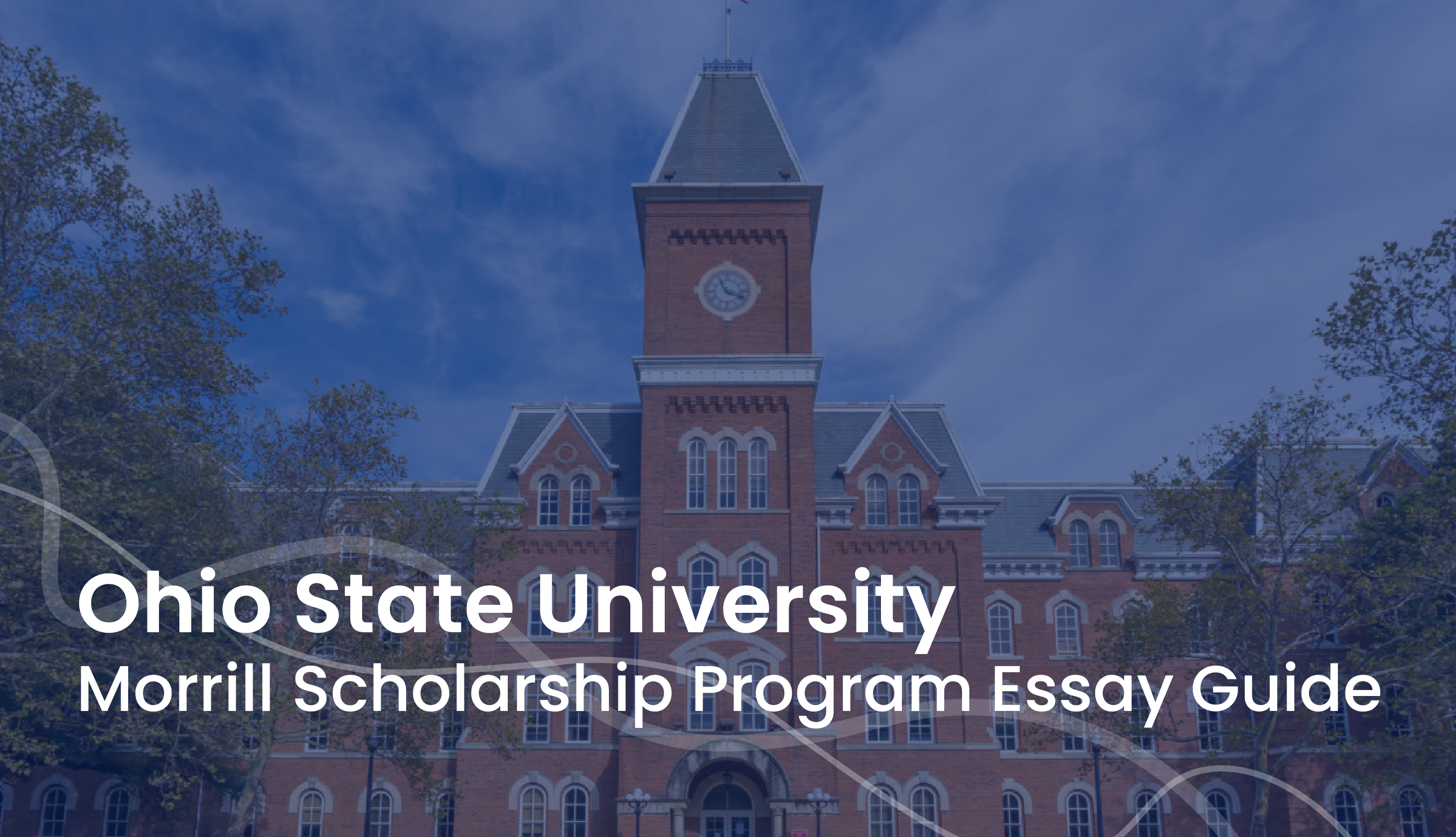 ohio state university essay requirements