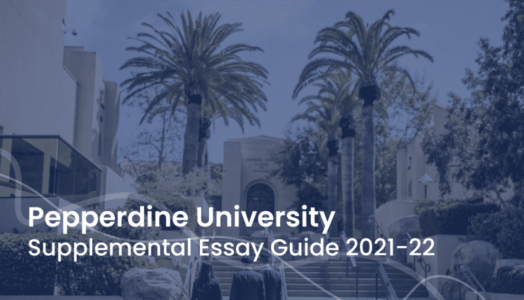 bowdoin supplemental essays 2023