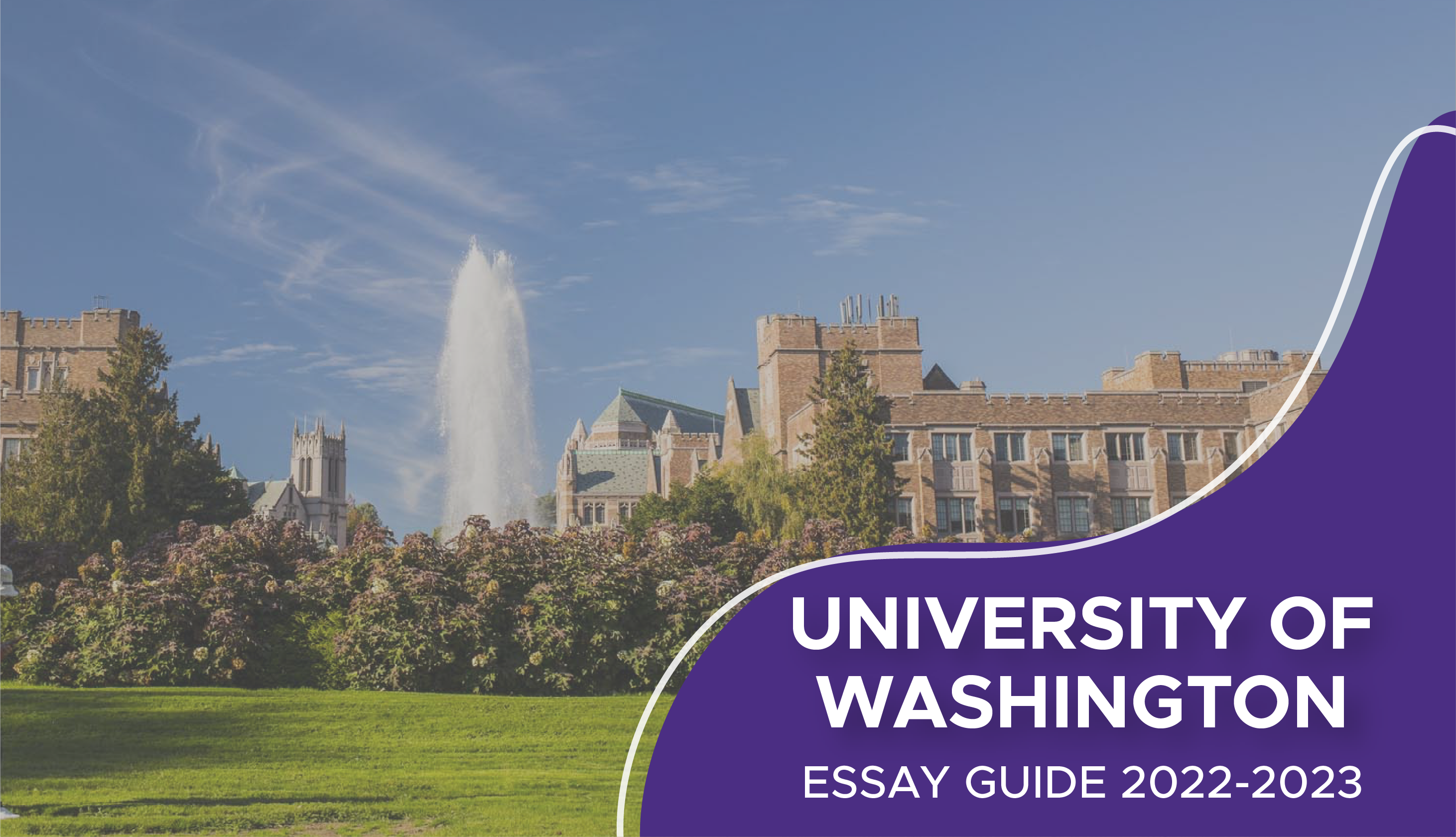 university of washington essay guide