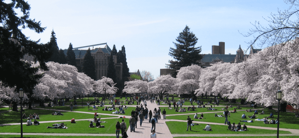 essay prompts for university of washington