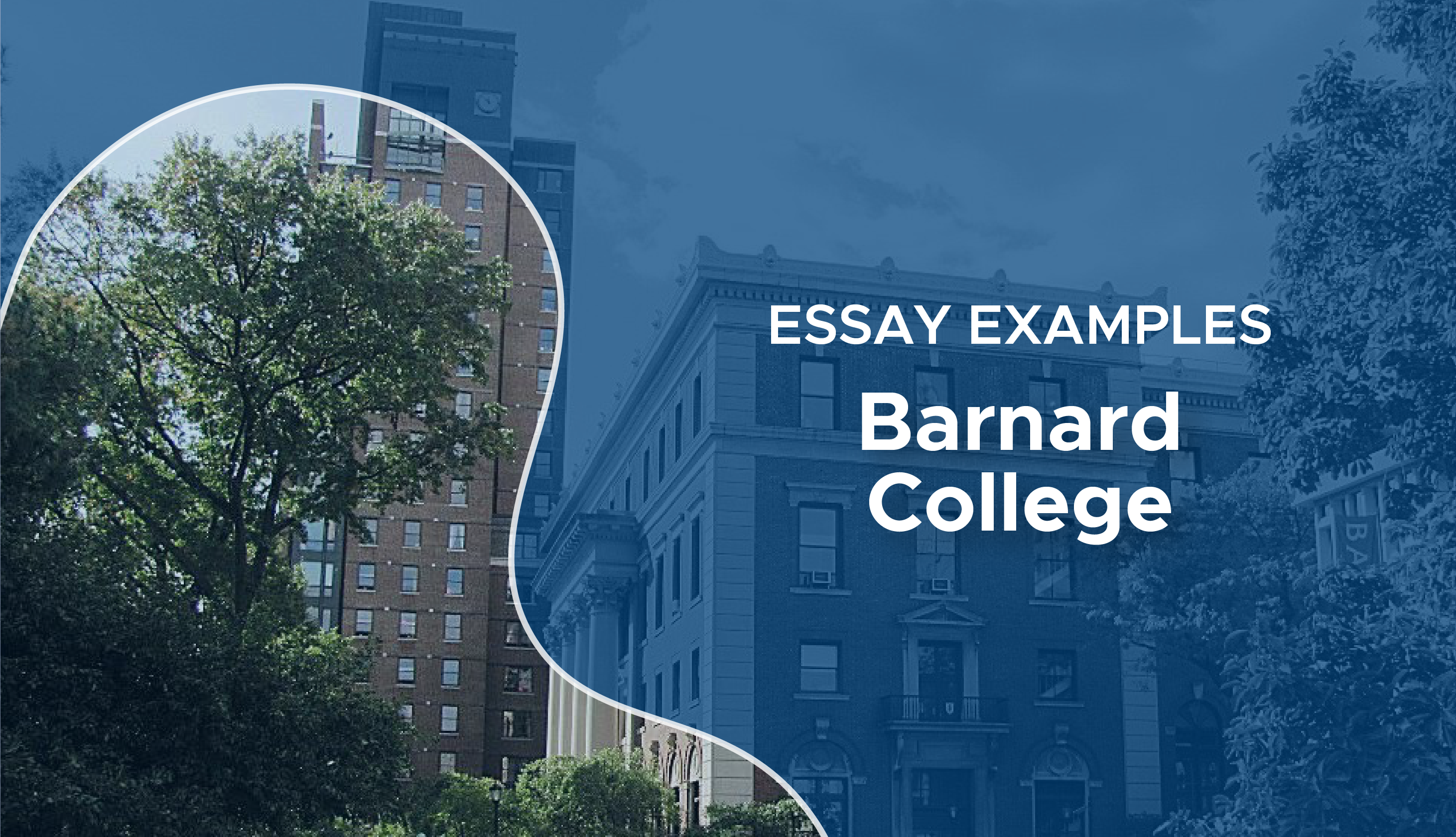 barnard college sample essays