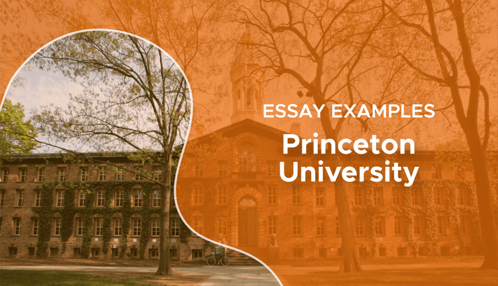 essays that worked princeton