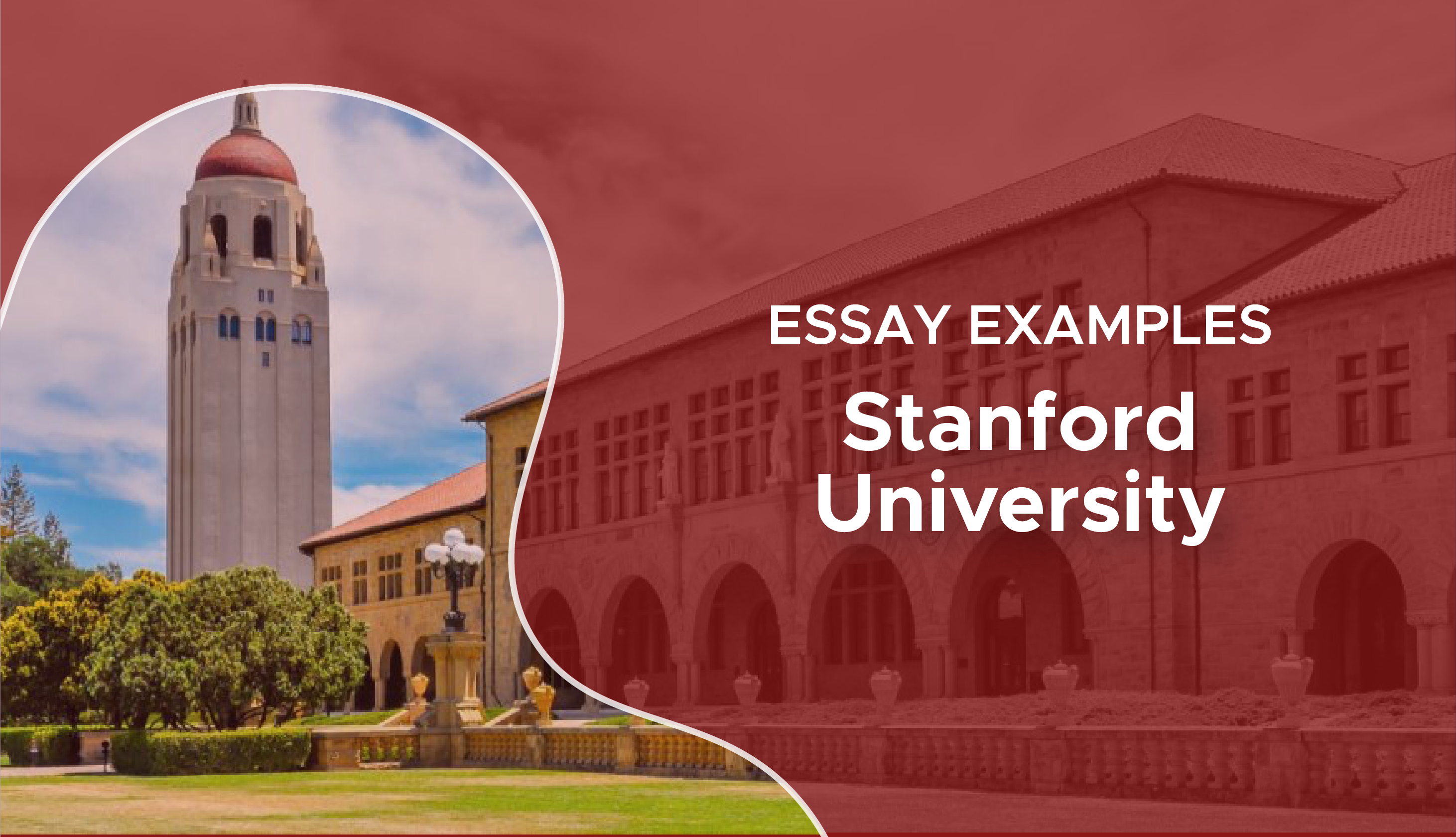 how to write essays for stanford