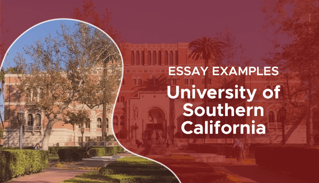 how to write the why usc essay