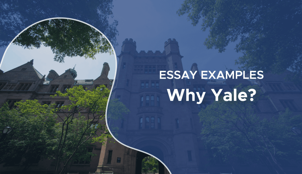 yale entrance essays