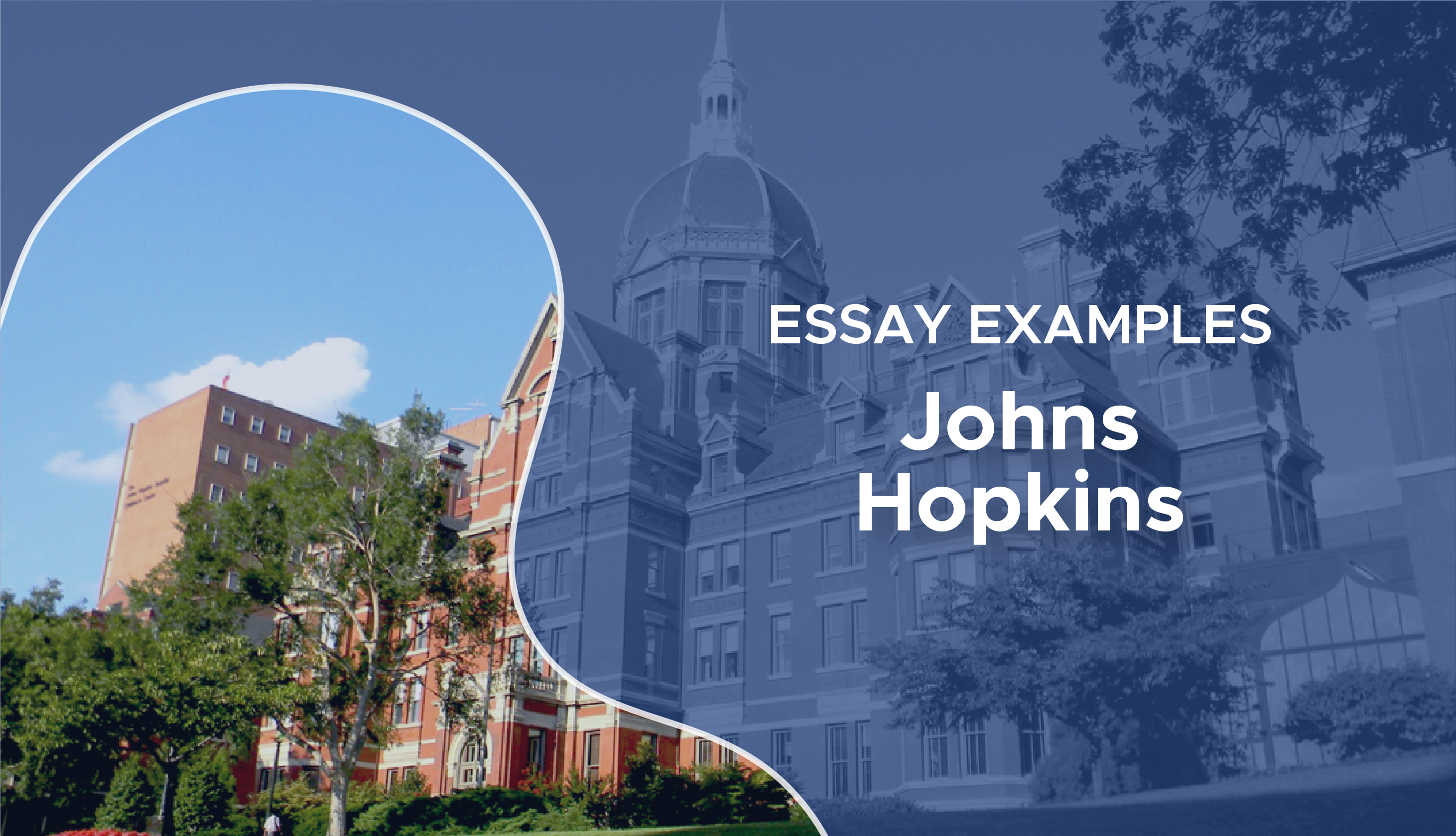 essays that worked johns hopkins 2023