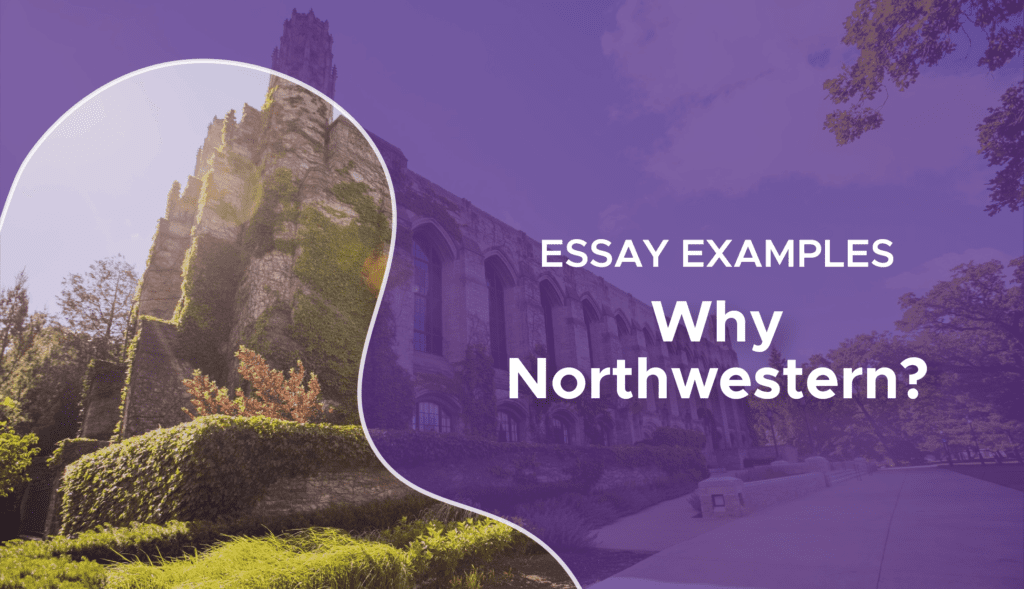 northwestern community essay
