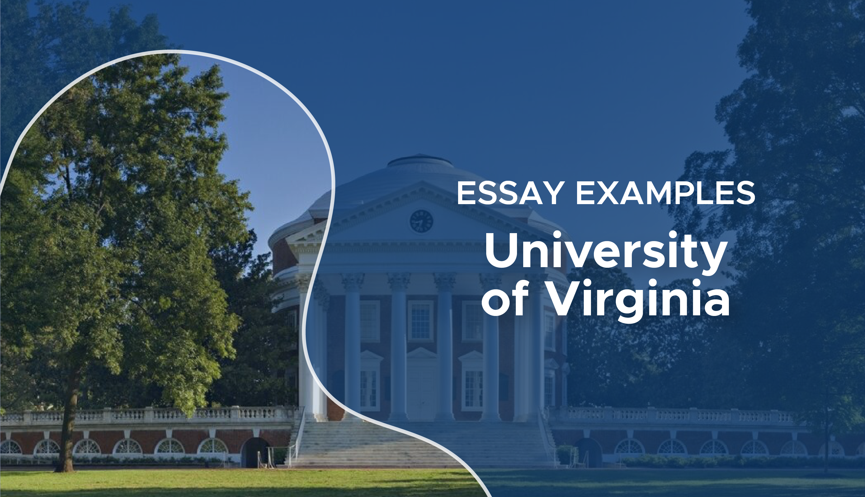 UVA Essay Examples & UVA Essays that Worked Best Guide