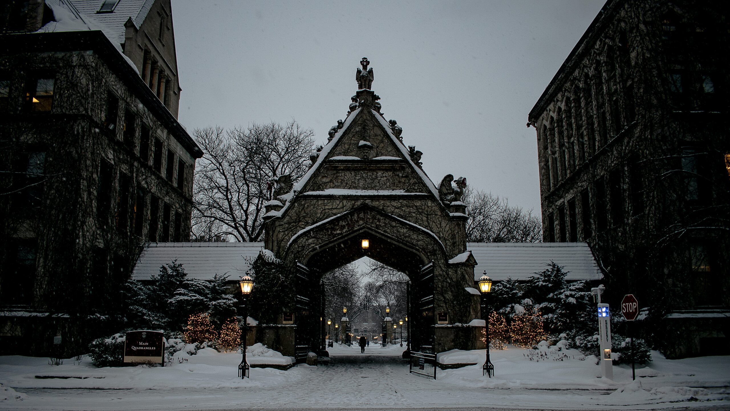 How to Get Into UChicago Guide