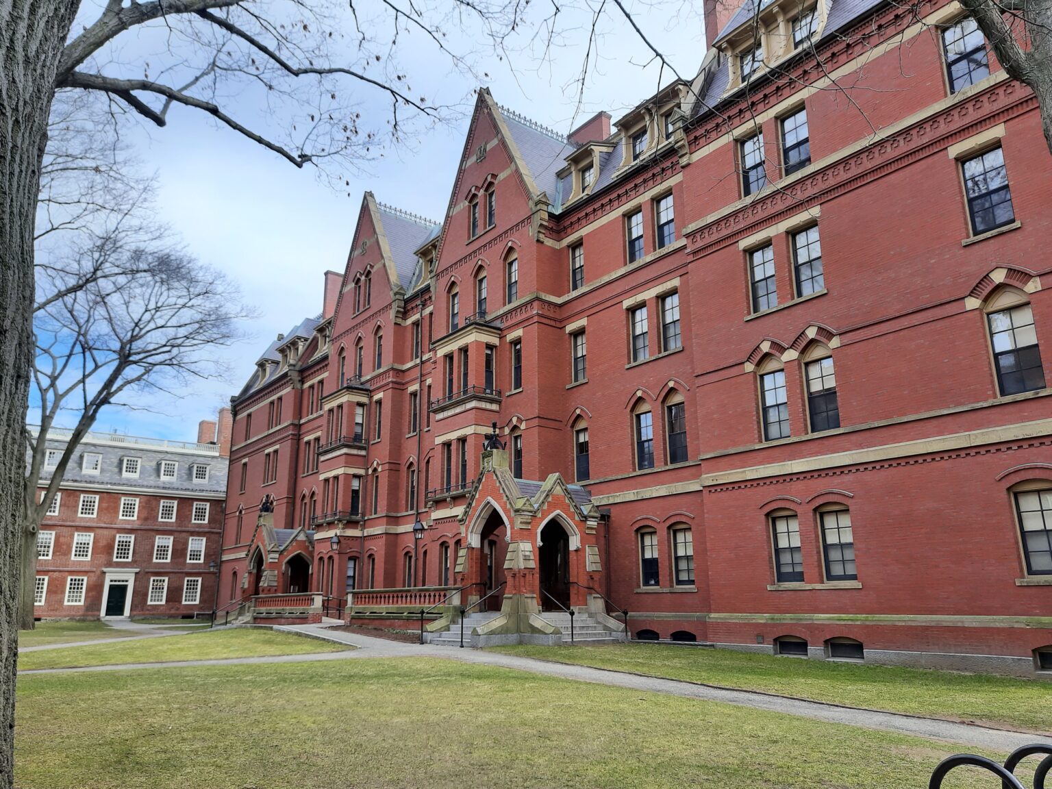 best colleges in new york for pre med