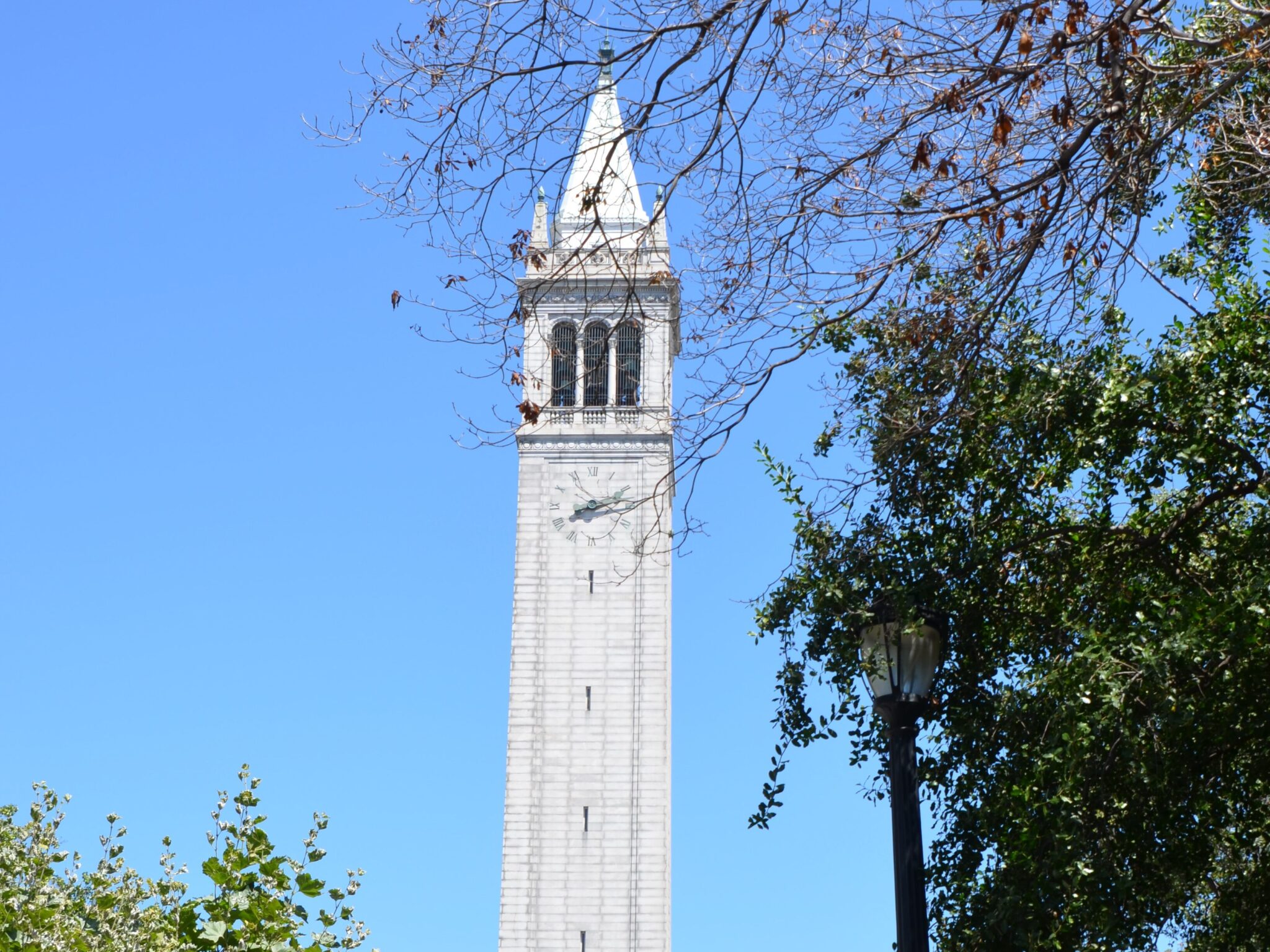 UC Berkeley Admissions & UC Berkeley requirements Latest Info