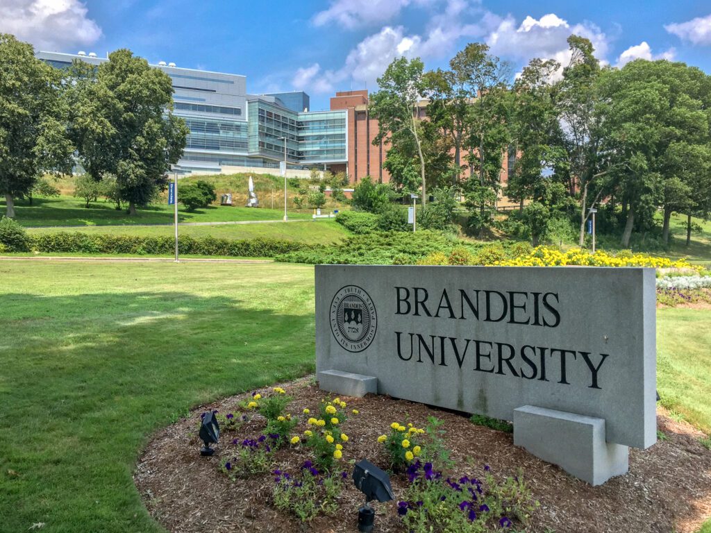 brandeis university supplemental essay