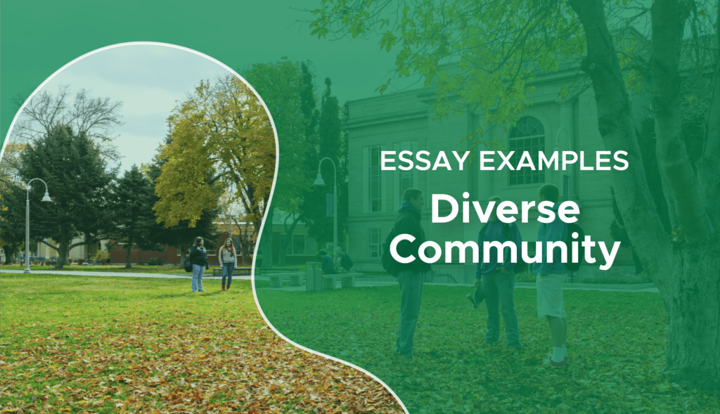 how diverse is your community essay