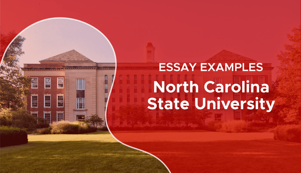 NC State Supplemental Essay Examples