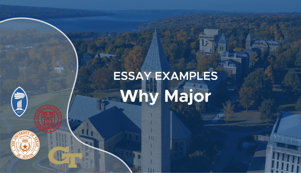 college why major essay