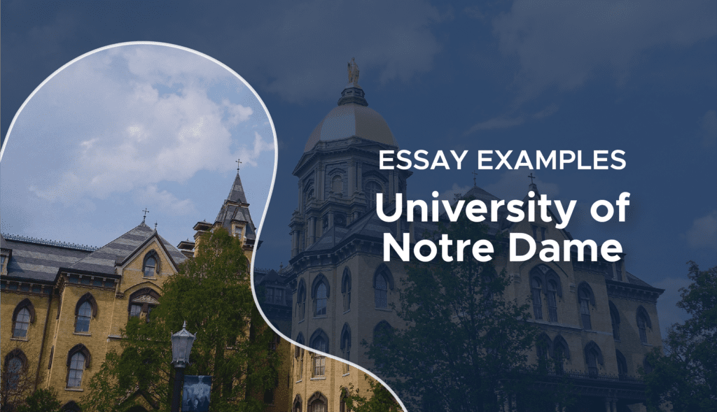 how to write the notre dame essays