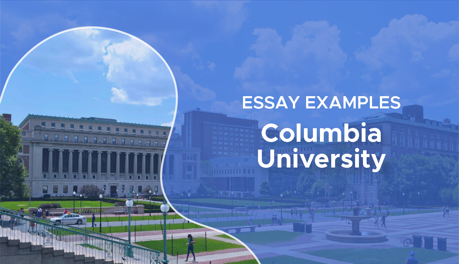 top essays for columbia