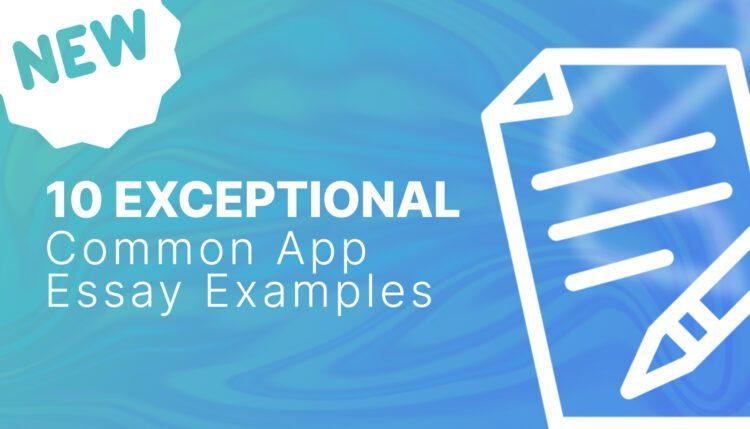 common app essay 6 examples