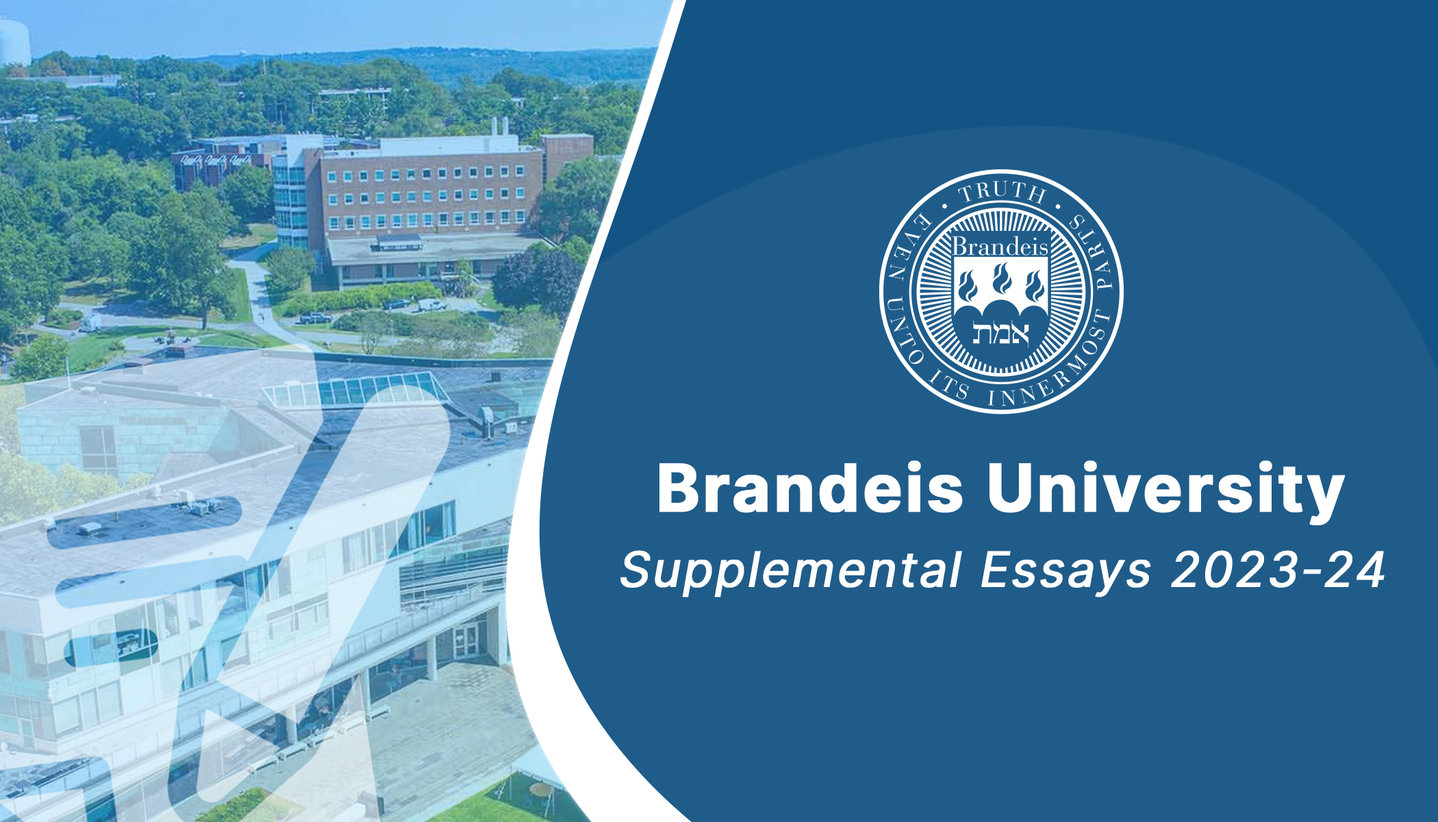 brandeis supplemental essay examples