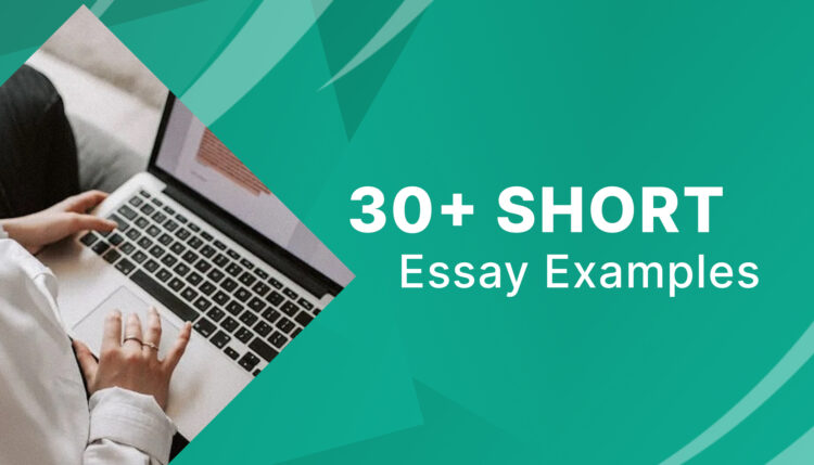 short essay examples