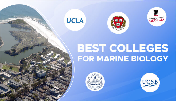 best colleges for marine biology