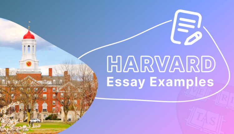 harvard essay examples